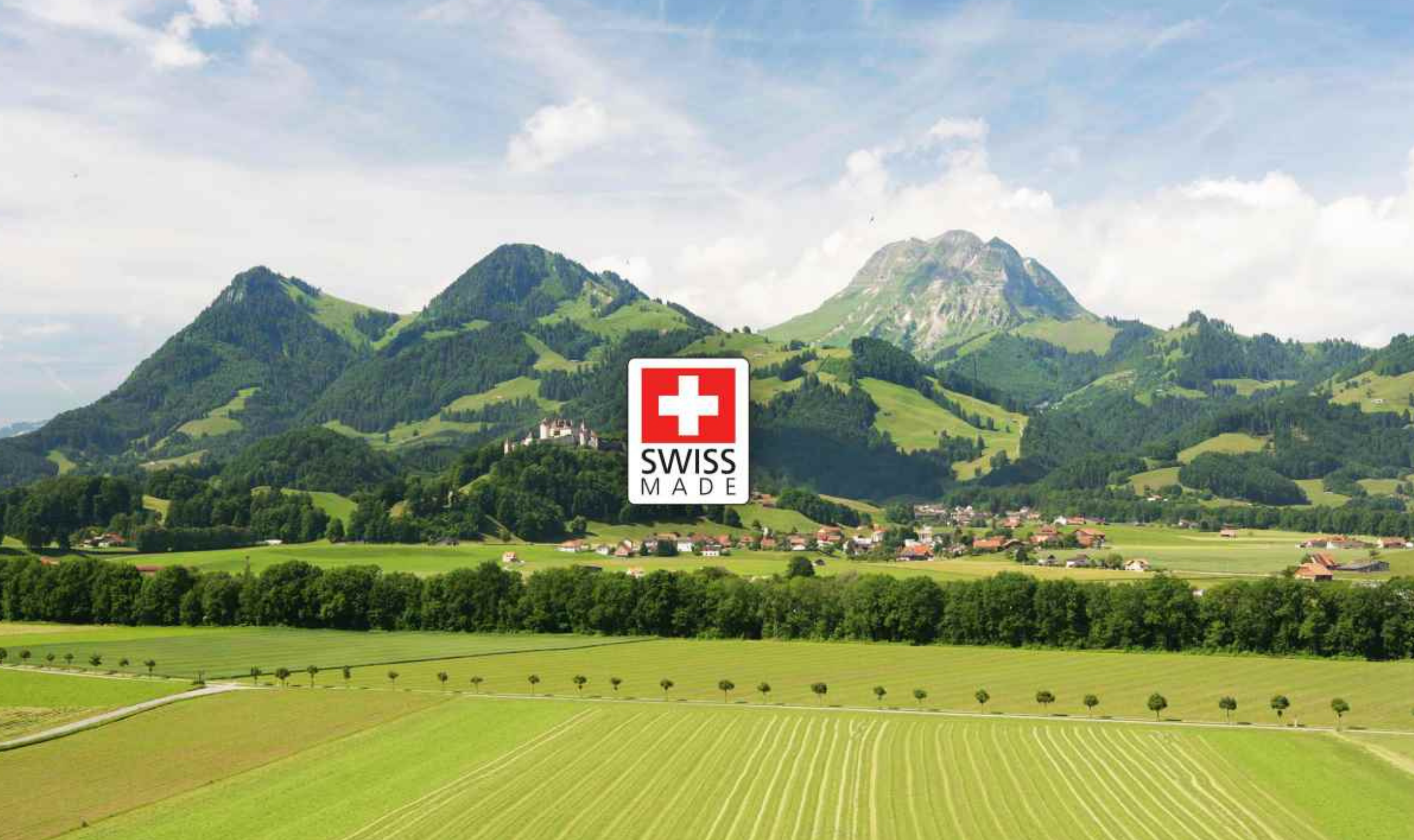 Swiss landscape with ROOMZ market leadership sign